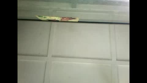 Snapshot of fucmebudoo chatting on 01-14-25, 06:24 Warwick online show from 01-14-25, 06:24