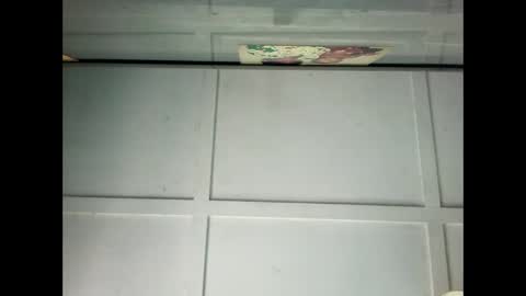 Snapshot of fucmebudoo chatting on 01-15-25, 12:09 Warwick online show from 01-15-25, 12:09