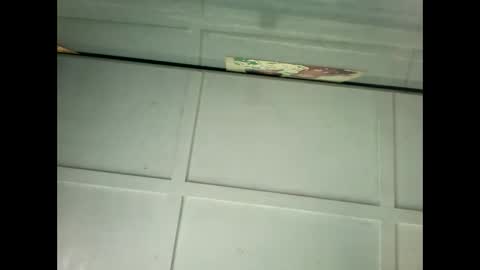 Snapshot of fucmebudoo chatting on 01-18-25, 11:55 Warwick online show from 01-18-25, 11:55