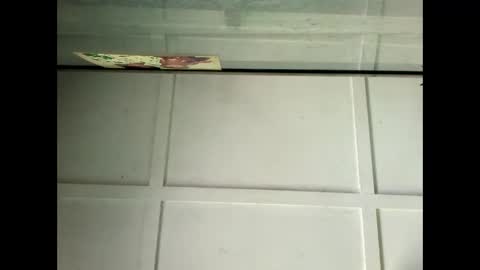 Snapshot of fucmebudoo chatting on 01-29-25, 04:05 Warwick online show from 01-29-25, 04:05