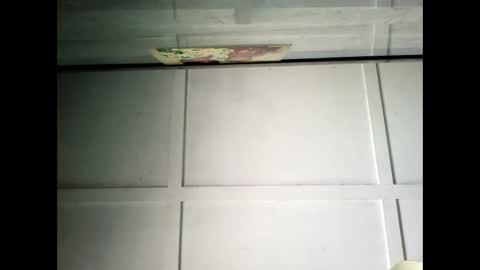 Snapshot of fucmebudoo chatting on 01-30-25, 02:38 Warwick online show from 01-30-25, 02:38