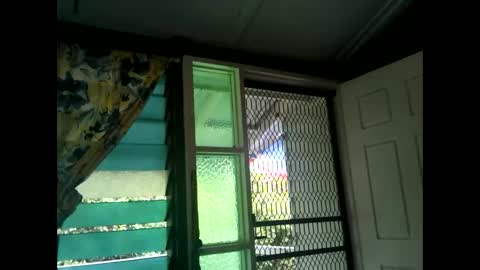 Snapshot of fucmebudoo chatting on 02-17-25, 03:25 Warwick online show from 02-17-25, 03:25