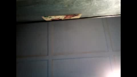 Snapshot of fucmebudoo chatting on 02-22-25, 07:56 Warwick online show from 02-22-25, 07:56