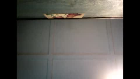 Snapshot of fucmebudoo chatting on 02-24-25, 07:33 Warwick online show from 02-24-25, 07:33