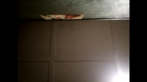 Warwick online show from 02-28-25, 01:03