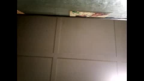 Snapshot of fucmebudoo chatting on 03-03-25, 11:22 Warwick online show from 03-03-25, 11:22