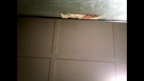 Snapshot of fucmebudoo chatting on 03-05-25, 11:49 Warwick online show from 03-05-25, 11:49