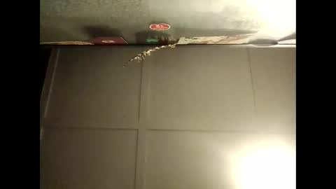 Snapshot of fucmebudoo chatting on 10-08-25, 08:12 Warwick online show from 10-08-25, 08:12