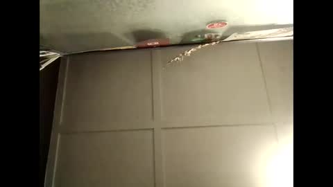 Snapshot of fucmebudoo chatting on 10-10-25, 08:46 Warwick online show from 10-10-25, 08:46