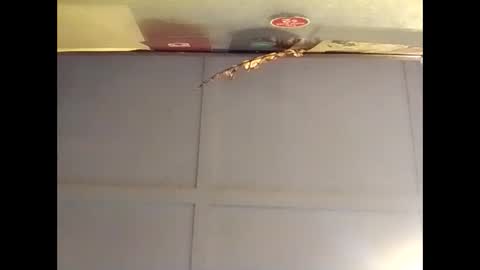 Snapshot of fucmebudoo chatting on 10-16-25, 07:09 Warwick online show from 10-16-25, 07:09