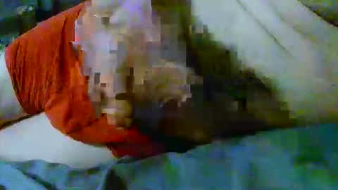 fultonstreet196860 online show from 04-26-26, 11:46