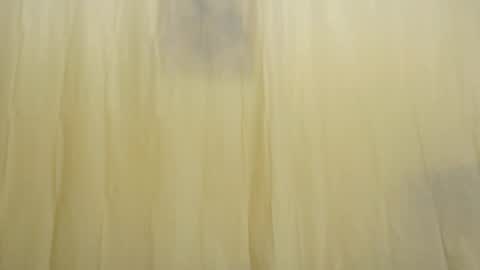 Fun4Tips online show from 02-15-25, 03:28