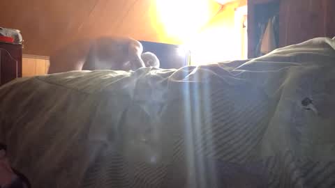Snapshot of fwbowling chatting on 02-23-26, 04:04 77daddy online show from 02-23-26, 04:04