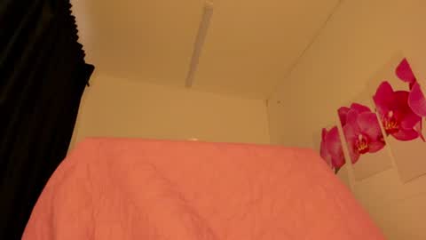 Snapshot of gabby_haze chatting on 07-25-26, 04:26 G A B R I E L A online show from 07-25-26, 04:26