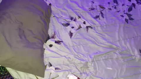 gabriel online show from 03-16-26, 05:44