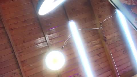 gabriela online show from 10-01-25, 07:09