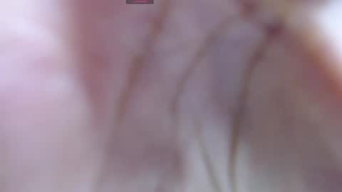 Snapshot of gabriela_morales01 chatting on 12-12-24, 05:31 .  online show from 12-12-24, 05:31