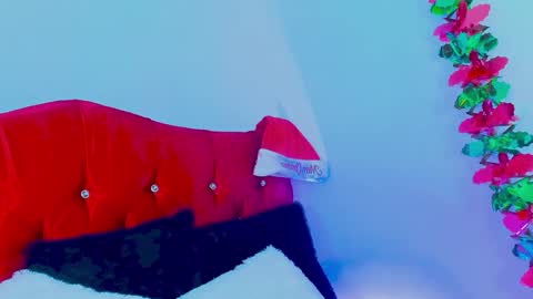 Snapshot of gabrielam_ms chatting on 12-10-24, 10:26 Gabriela Evans MS online show from 12-10-24, 10:26