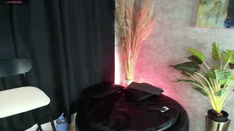          online show from 11-16-25, 01:33