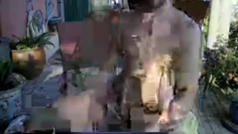 galleguin1 online show from 06-13-26, 06:39