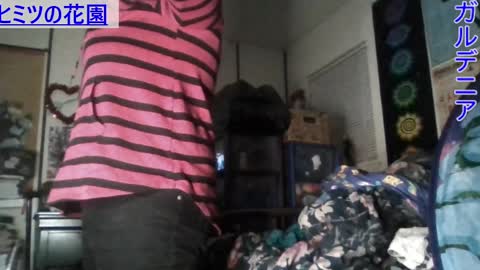 Gardenia online show from 01-07-25, 07:42