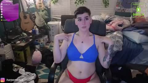 HarperxLotus online show from 12-04-25, 02:54