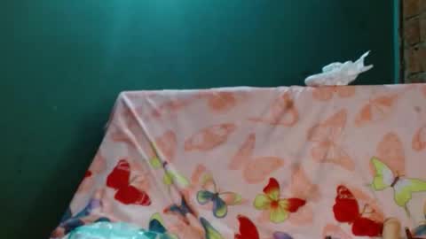 Snapshot of gatita_1997 chatting on 11-10-25, 09:52 estrella online show from 11-10-25, 09:52