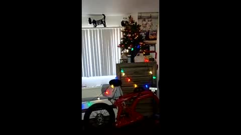 Zanecubano online show from 12-04-25, 07:11