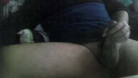 geiser091 online show from 02-03-26, 09:47