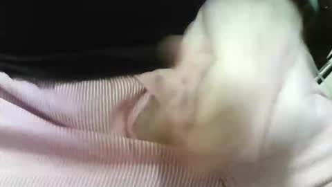 germandaddydick1 online show from 10-25-25, 08:03