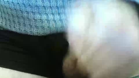 germandaddydick1 online show from 06-04-26, 03:29