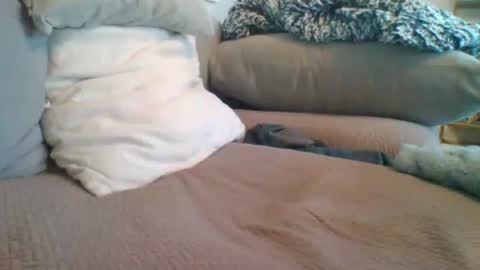 Getsome11 online show from 03-08-26, 12:53