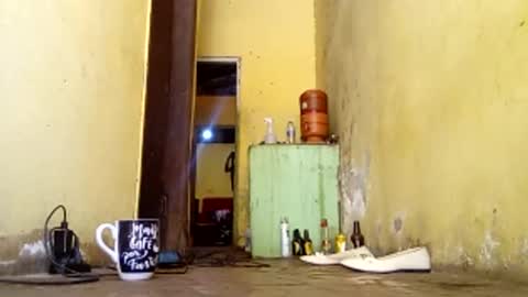 Gaby online show from 10-21-25, 06:52