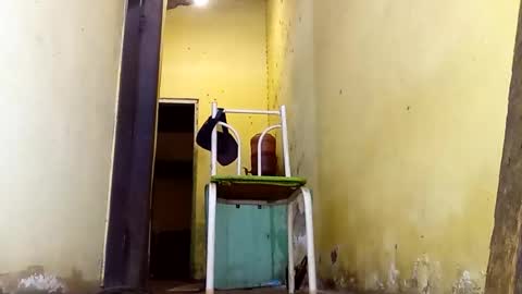 Gaby online show from 02-23-26, 02:58