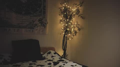 ghoticspectre online show from 01-15-26, 05:16