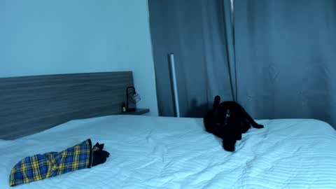 Snapshot of giannasue chatting on 01-11-25, 06:01 giannasue online show from 01-11-25, 06:01