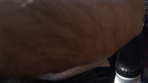 Snapshot of gianni9000000 chatting on 02-05-26, 02:43 Gianni9000000 online show from 02-05-26, 02:43