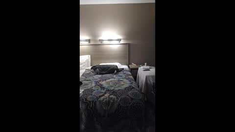 gilf_gamer online show from 03-01-26, 02:24