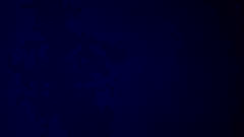 elen06 online show from 12-16-25, 09:25