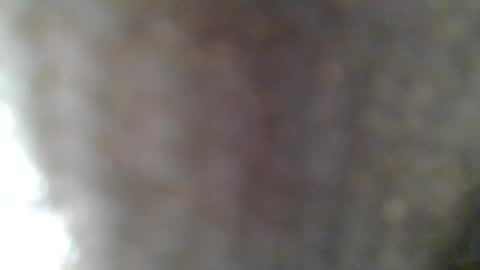 Snapshot of givr6inches chatting on 02-25-25, 07:31 e-Bizl online show from 02-25-25, 07:31