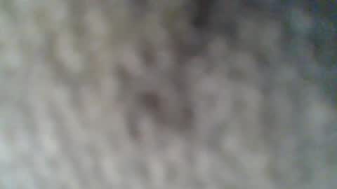 Snapshot of givr6inches chatting on 02-25-25, 10:37 e-Bizl online show from 02-25-25, 10:37
