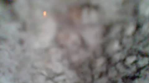 Snapshot of givr6inches chatting on 03-07-25, 01:18 e-Bizl online show from 03-07-25, 01:18