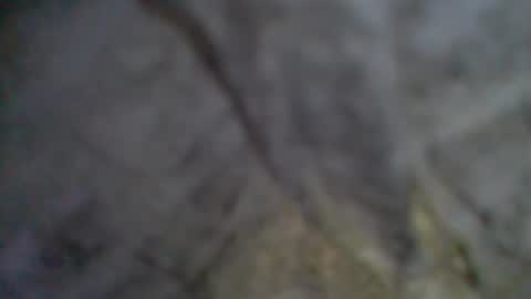 Snapshot of givr6inches chatting on 09-11-25, 09:04 e-Bizl online show from 09-11-25, 09:04