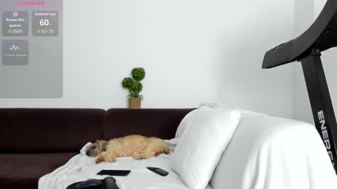 Alice online show from 01-17-26, 10:35