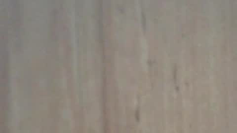 Snapshot of glyder1961 chatting on 02-07-25, 03:41 Glyder online show from 02-07-25, 03:41