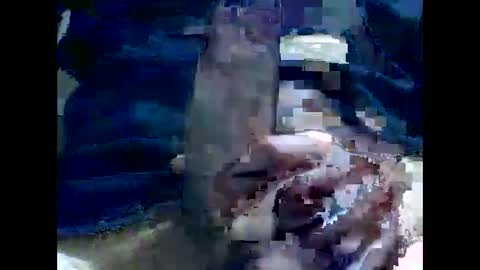 Snapshot of gmjavenger chatting on 12-02-24, 08:30 PencilDick online show from 12-02-24, 08:30