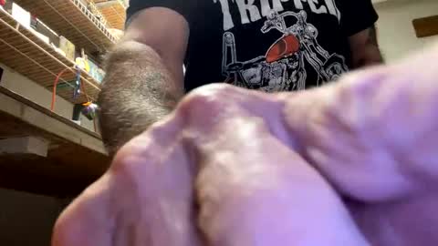 gngnxxx online show from 10-23-25, 04:45