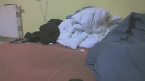 Snapshot of gnz310388 chatting on 03-04-26, 07:20 gnz310388 online show from 03-04-26, 07:20