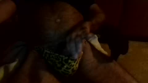 Snapshot of gojo885 chatting on 01-13-25, 03:23 gojo885 online show from 01-13-25, 03:23