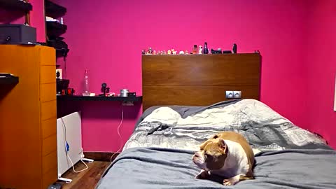 gonzalo online show from 03-23-26, 12:36